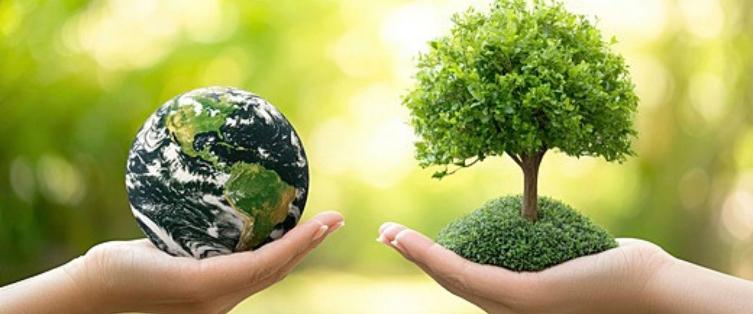 Untitled design (34)